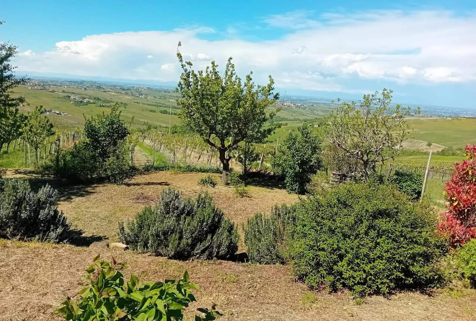 Villa Nife Tiny House - Secret Garden Montalbo